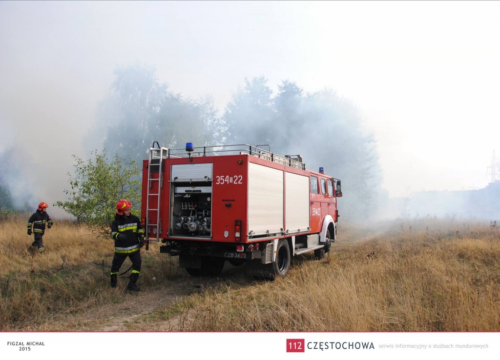 11958303_894136250680159_4141108802959283910_o