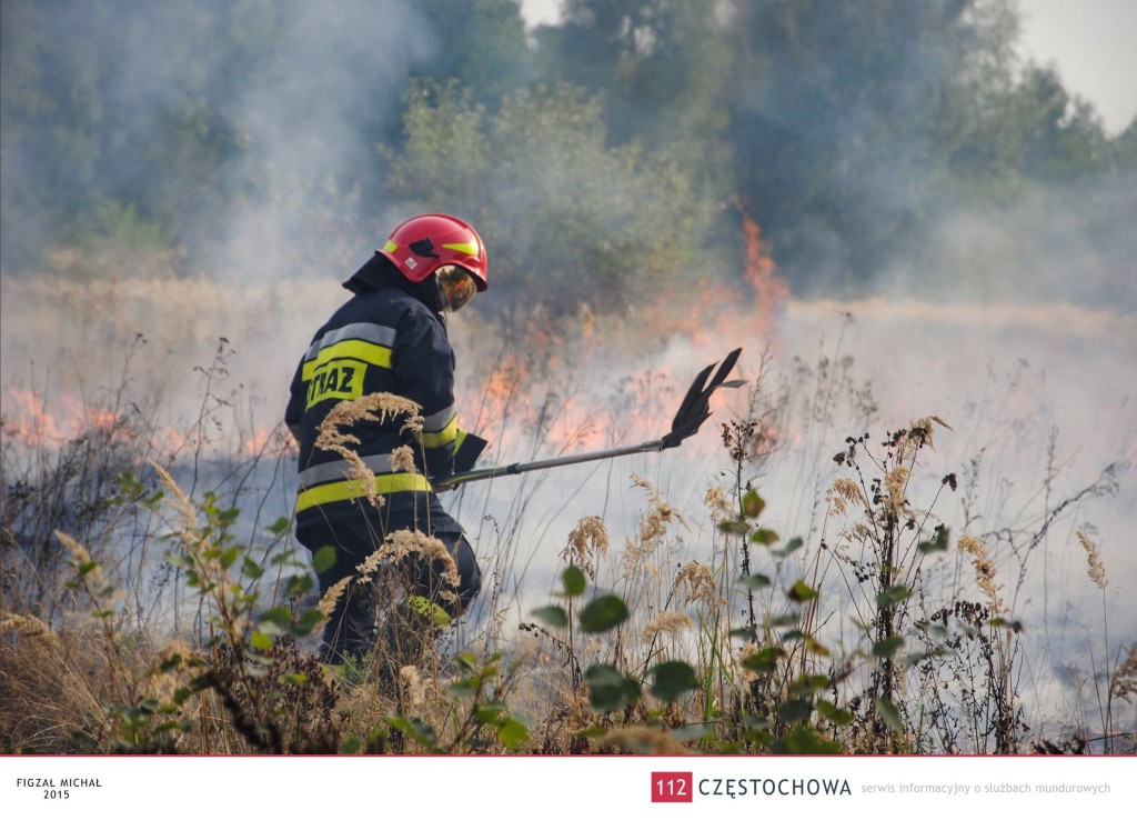 12014965_894136157346835_3561018078557203415_o