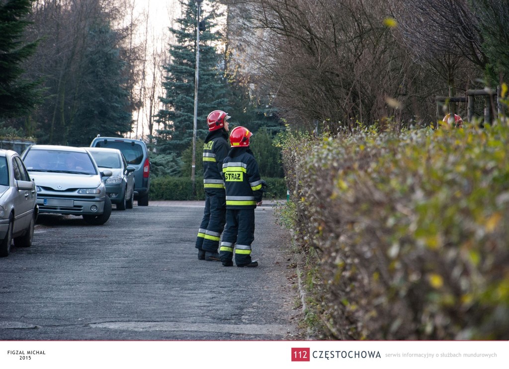 12325671_927069390720178_1985568335_o