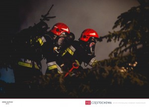 12482722_943010482459402_1483277942_o