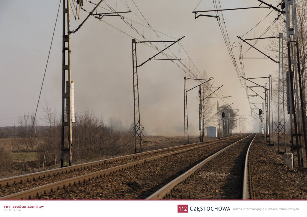 12473677_990516147708835_5264410837713515044_o