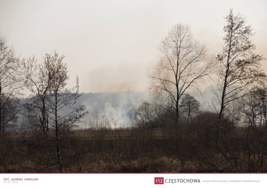 12891651_990516137708836_4123949707938393175_o