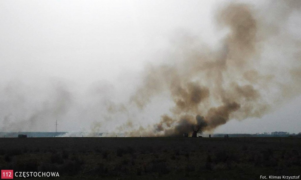 12953002_764396927029068_241878992_o