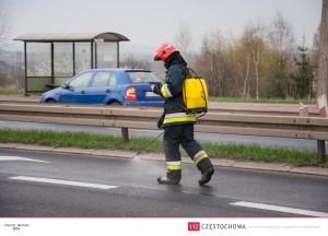 12961438_999467910146992_5732574355558925454_o