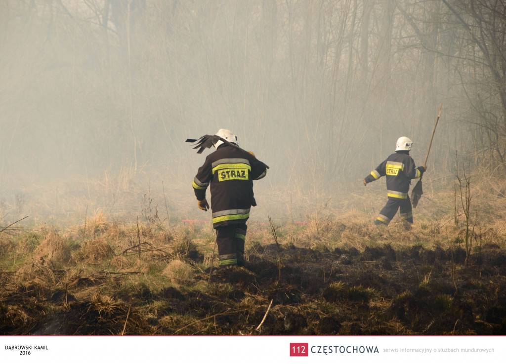 12962428_977505882304035_462847294_o