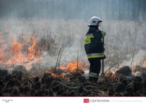 12968017_996931073734009_1109777478639605829_o