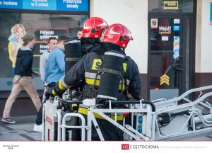 13415456_1034836269943489_8097492864131426855_o